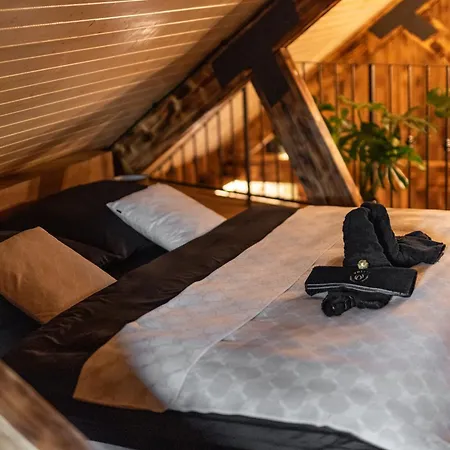 Wellnes Hříbek Apartmán *