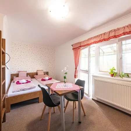 Wellnes Hříbek Apartment