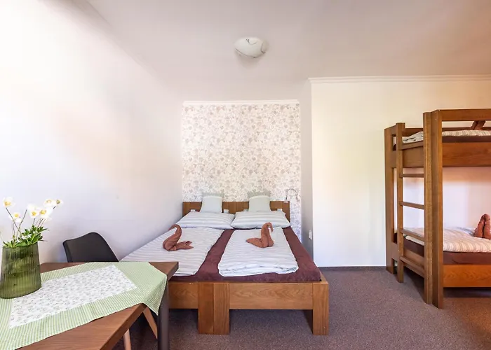 Apartment Wellnes Hříbek