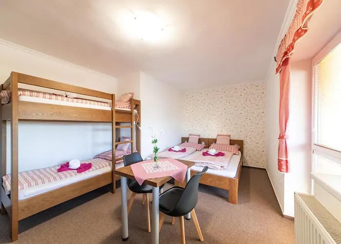 Wellnes Hříbek Apartment